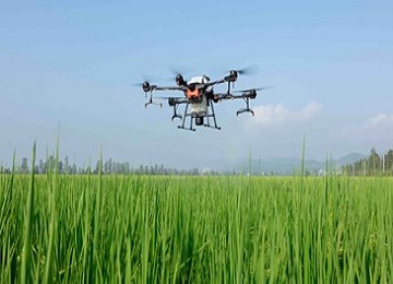 Drone Agriculture